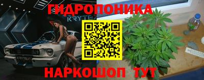 spice Обь