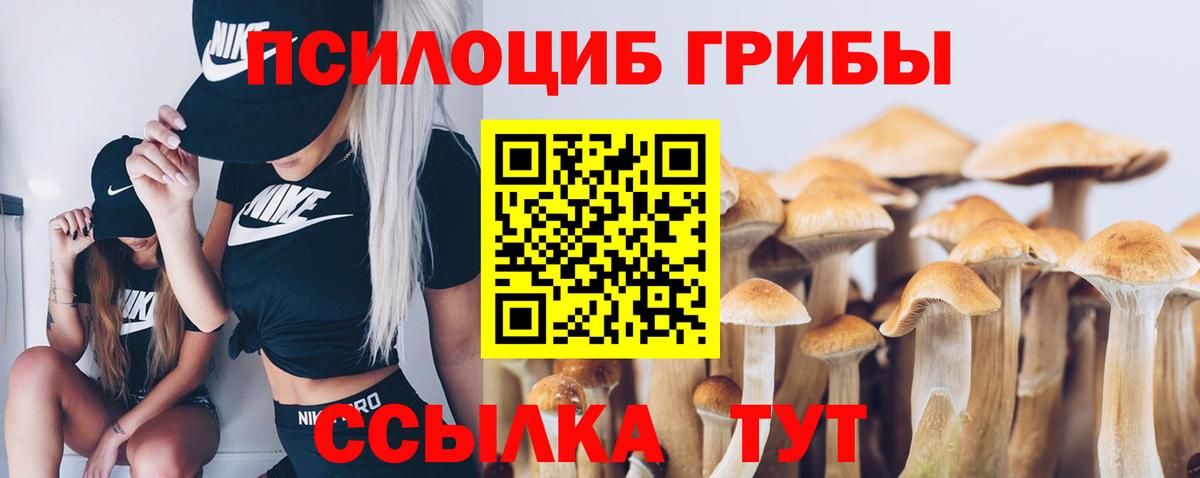 Химки  Псилоцибиновые грибы мухоморы  Вход с VPN 